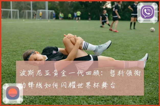 波斯尼亚黄金一代回顾：哲科领衔的锋线如何闪耀世界杯舞台