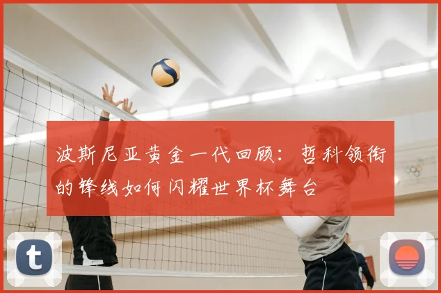 波斯尼亚黄金一代回顾:哲科领衔的锋线如何闪耀世界杯舞台