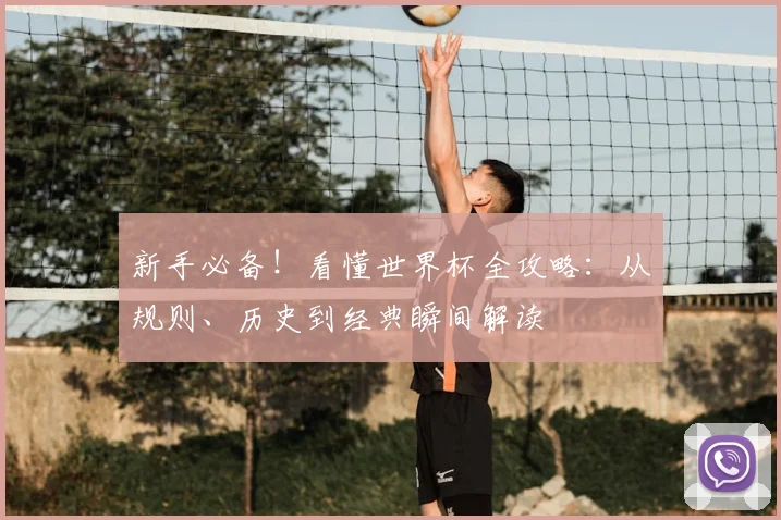 新手必备!看懂世界杯全攻略:从规则、历史到经典瞬间解读